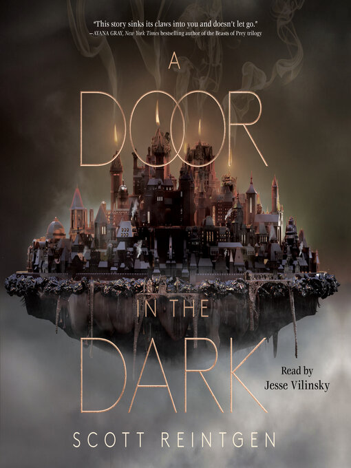 Cover image for A Door in the Dark